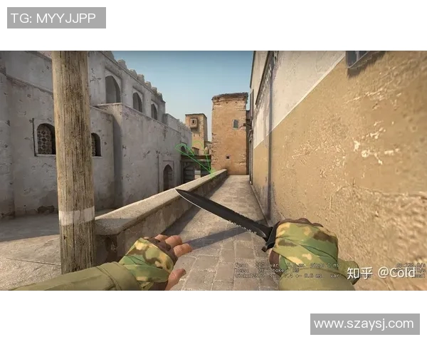 深入解析JDG战队在CSGO中的防守体系与战术布局 深入解析JDG战队在CSGO中的防守体系与战术布局