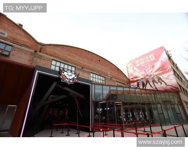 和平精英战术解析JDG战队防守体系的成功秘诀与实战应用