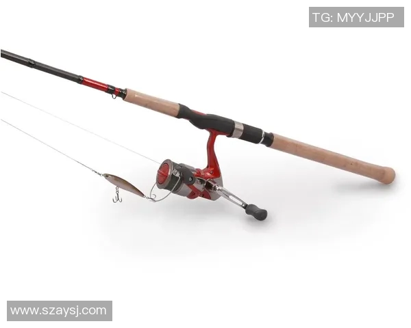 探索渔具世界从入门到精通的全方位指南助你成为钓鱼高手