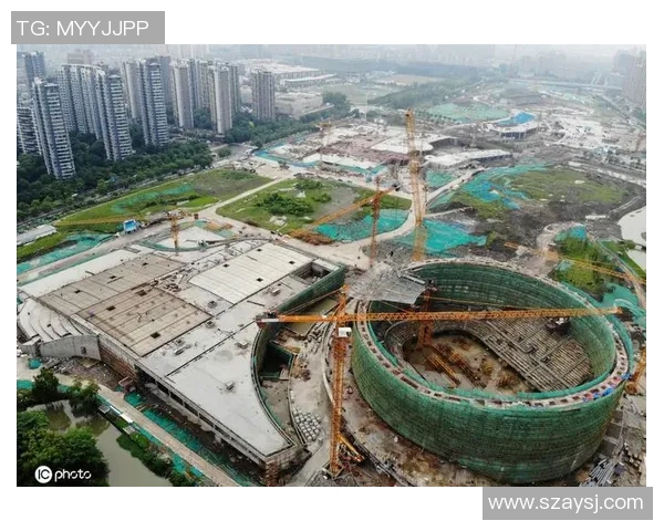 杭州乒乓球队运营策略深度分析与发展前景展望