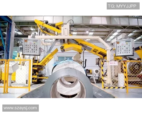 武汉排球队中路突破创新之路探秘与未来展望