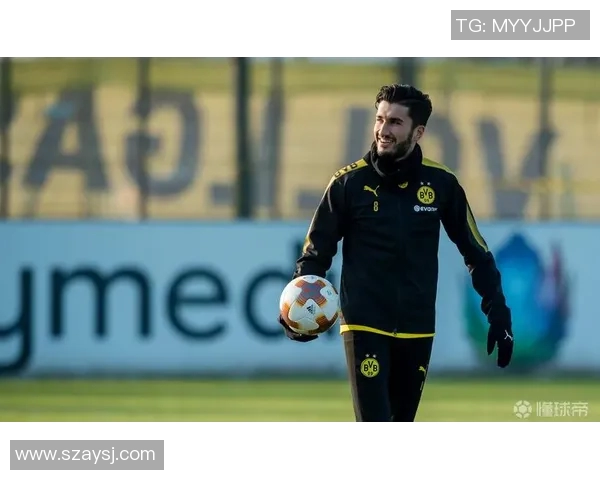 黄黑军团德甲备战日志 聚焦体能储备与战术演练的双重推进与协同作战