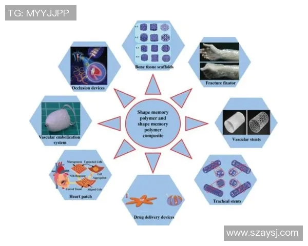 南京羽毛球队战术解析：从技术细节到团队协作的全面探讨