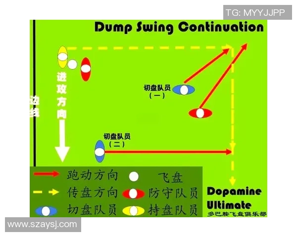 重庆飞盘队的反击战术解析与深度剖析飞盘运动的魅力与挑战