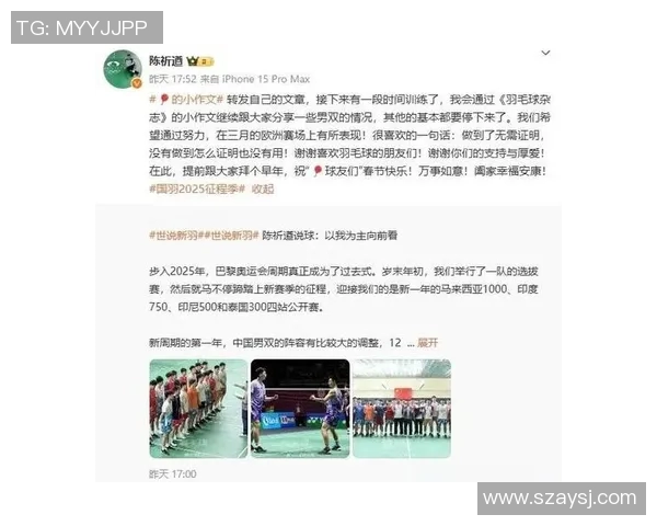 武汉羽毛球队引领最新羽毛球战术十强榜单解析与展望