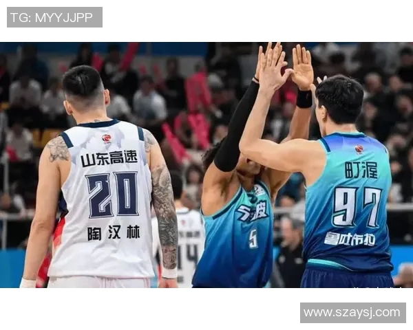 2017年女排联赛精彩对决全辽宁队与山东队巅峰对抗回顾